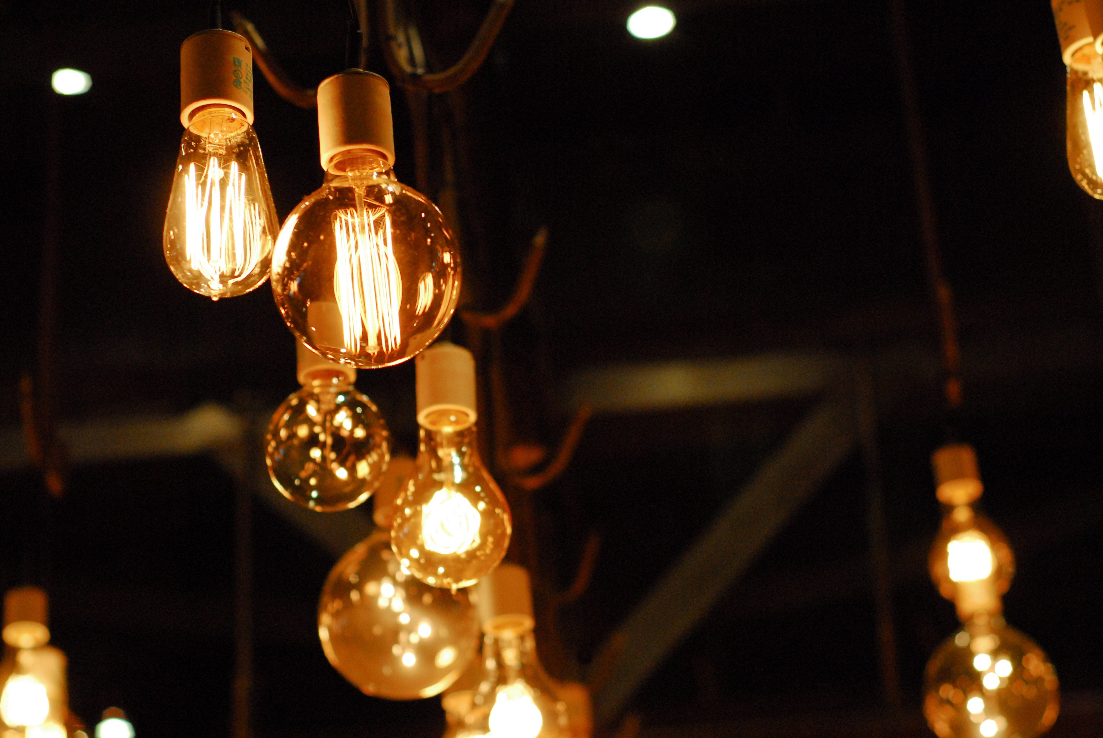 Electric Light Bulbs